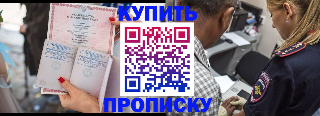 прописка законно в Алатыре